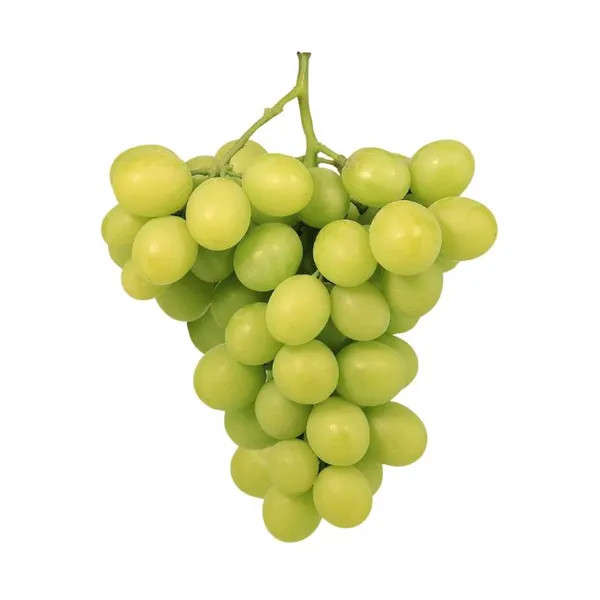 Nho xanh Autumn Crisp Grapeland túi 1kg