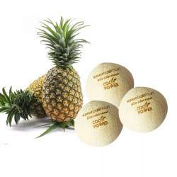 Combo dừa xiêm 3 quả & Dứa Queen (1 Combo)