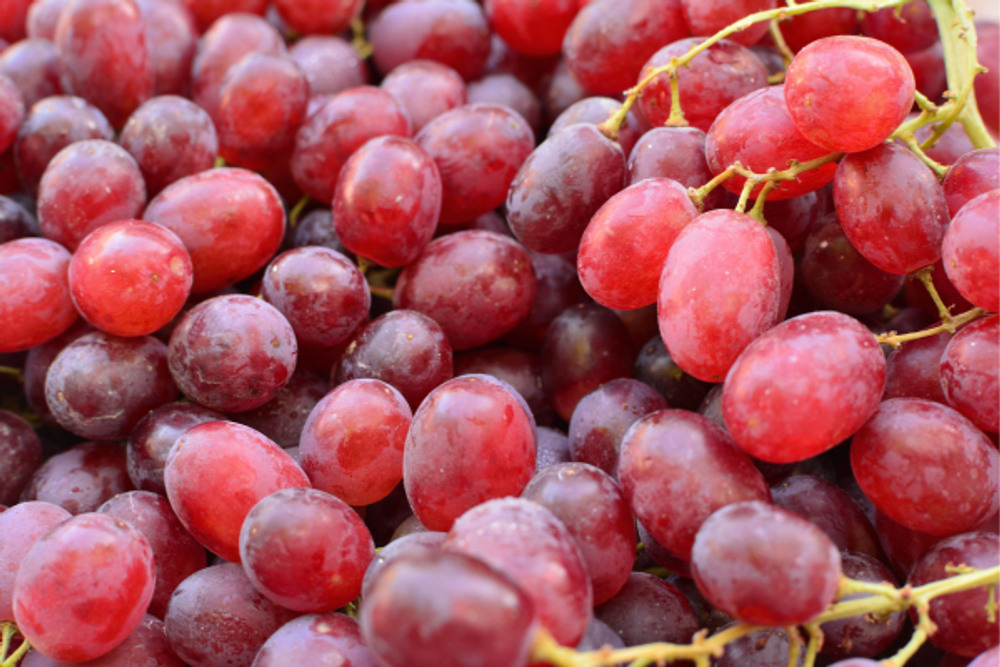 Nho do Sweet Scarlet