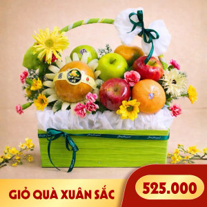 Giỏ quà trái cây Xuân Sắc (1 Giỏ)