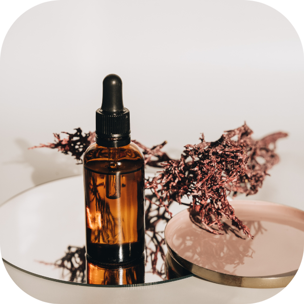 Khắc phục chứng mất ngủ Kingfoodmart