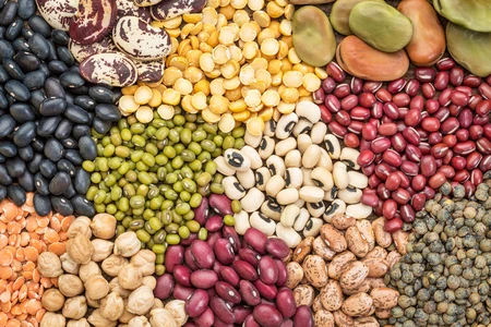 5 thực phẩm giàu protein hỗ trợ giảm cân và xây dựng cơ bắp