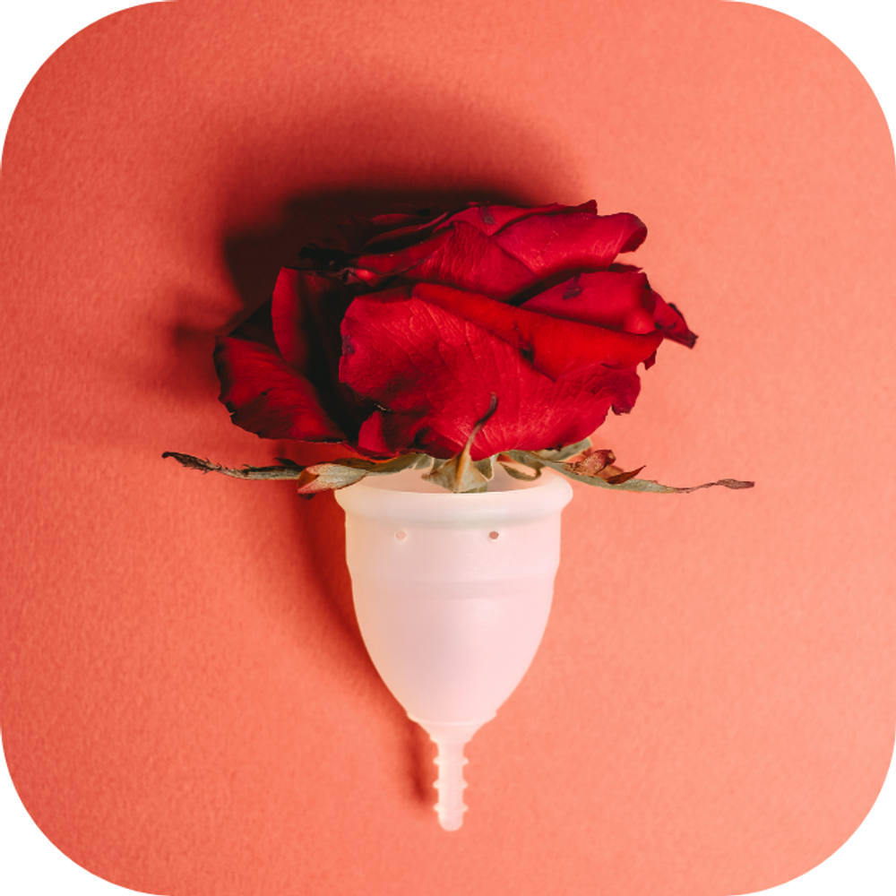 Kinh nguyet Kingfoodmart