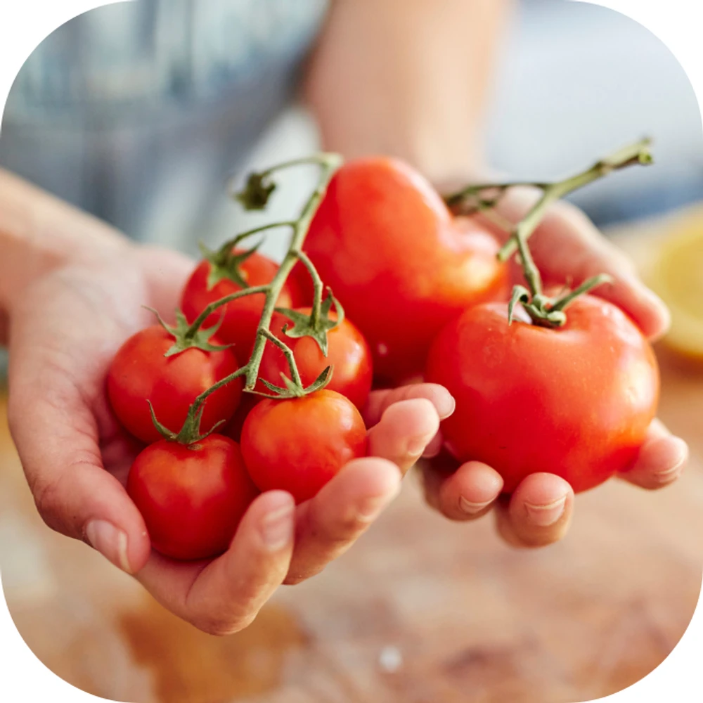 Chất dinh dưỡng của cà chua Kingfoodmart