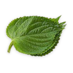 Lá vừng PTFARM gói 50g