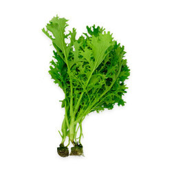 Cải đuôi phụng Happy Vegi gói 250g