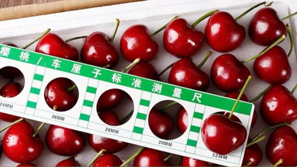 Size cherry Mỹ Kingfoodmart