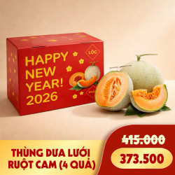Thùng 4 quả dưa lưới vỏ xanh ruột cam 6.5KG - 7KG (1 Thùng)