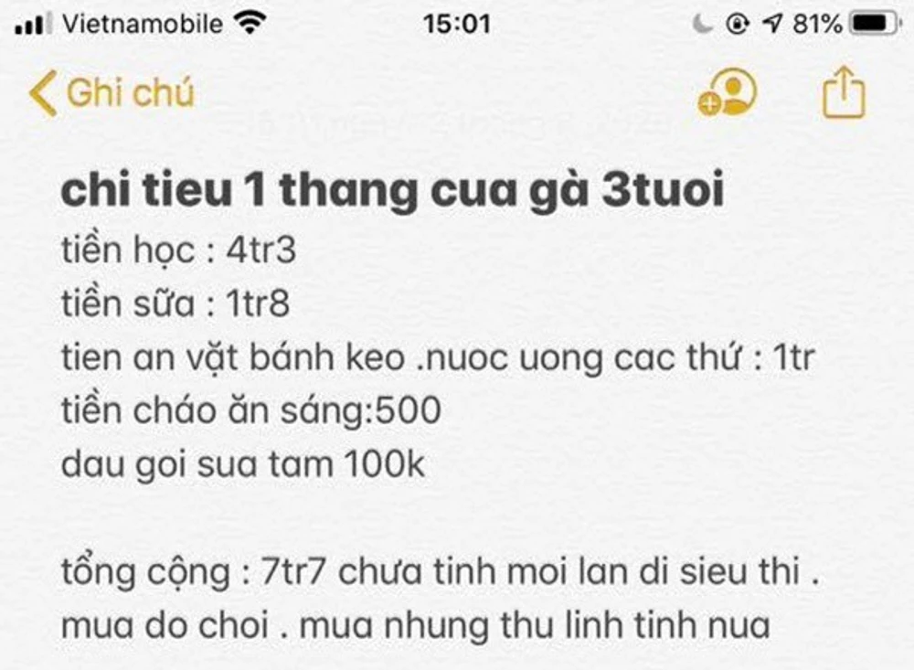 Gia đình có 1 con nhỏ, riêng chi cho bé đã hết 7,7 triệu đồng. (Nguồn: Internet)