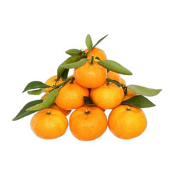 Quýt nội địa Trung túi 800-900g (1 Túi)