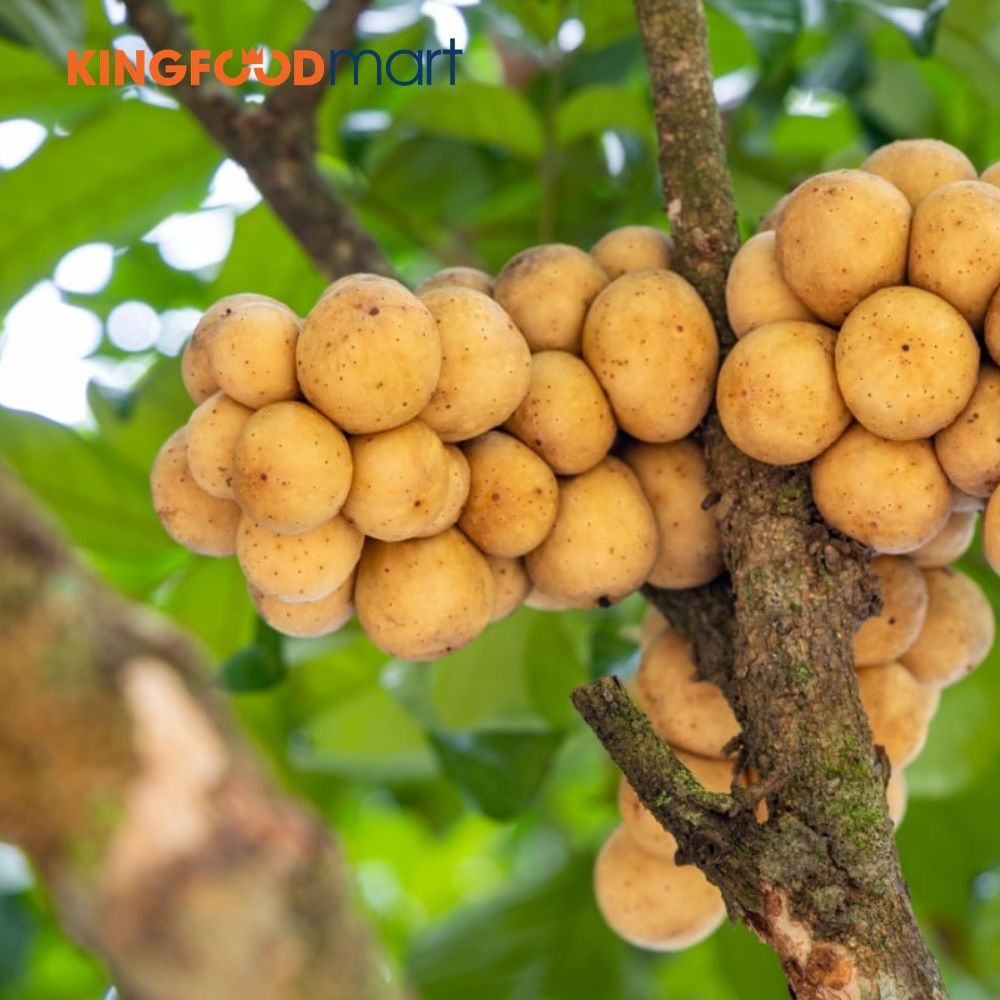 Bòn bon là loại trái cây có tính hàn (mát). Nó cung cấp nhiều Vitamin C, B1, B2 và chất xơ giúp giải nhiệt, tăng cường sức đề kháng.