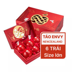 Hộp quà táo Envy 6 Trái (1 Hộp)