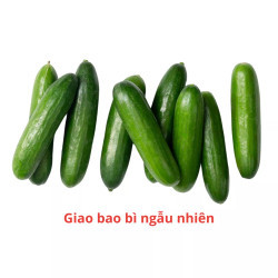 Dưa leo baby Hà Lan Đà Lạt GlobalGAP vỉ 500g (1 Vỉ)
