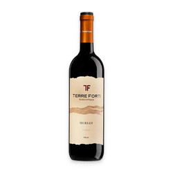 Vang đỏ Merlot Terre Forti chai 750ml