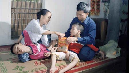 10/8 Ngày Vì nạn nhân chất độc màu da cam là gì? Ý nghĩa, lịch sử và hoạt động hưởng ứng năm 2026