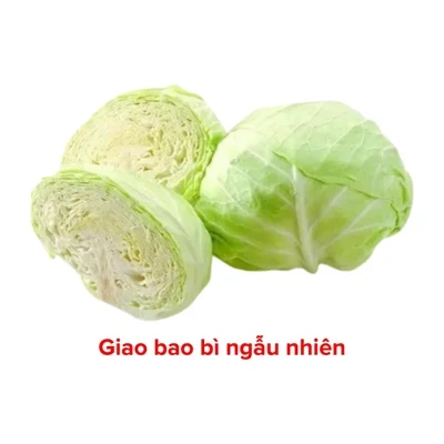 Bắp cải trắng Đà Lạt VietGAP 800g-1.1Kg