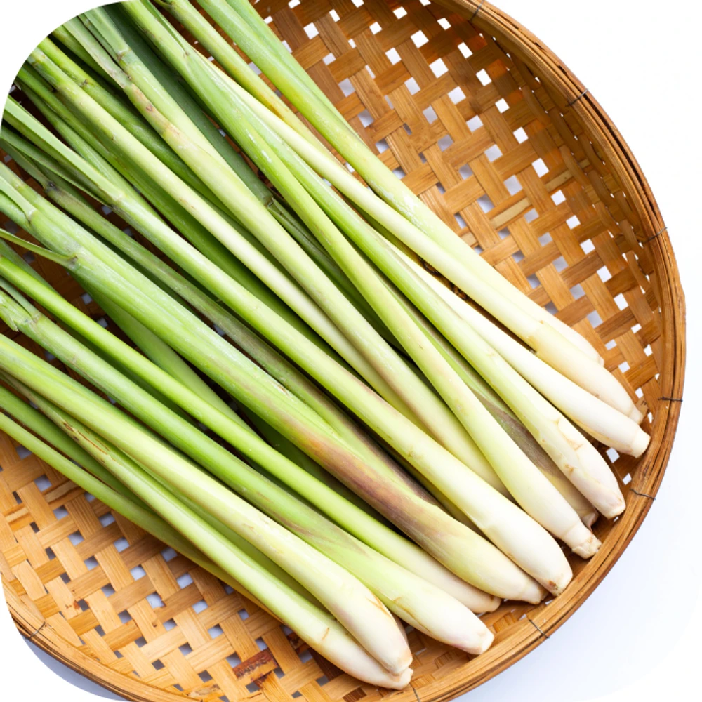 sả Kingfoodmart