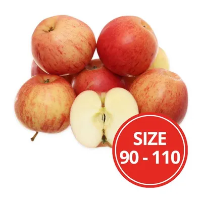 Thùng 18kg táo gala Mỹ size 90-110