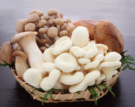 Những lợi ích đáng kinh ngạc của nấm đối với phụ nữ mang thai