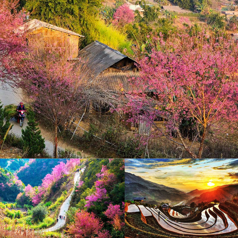 Du lịch vùng cao dịp Tết âm lịch 2026