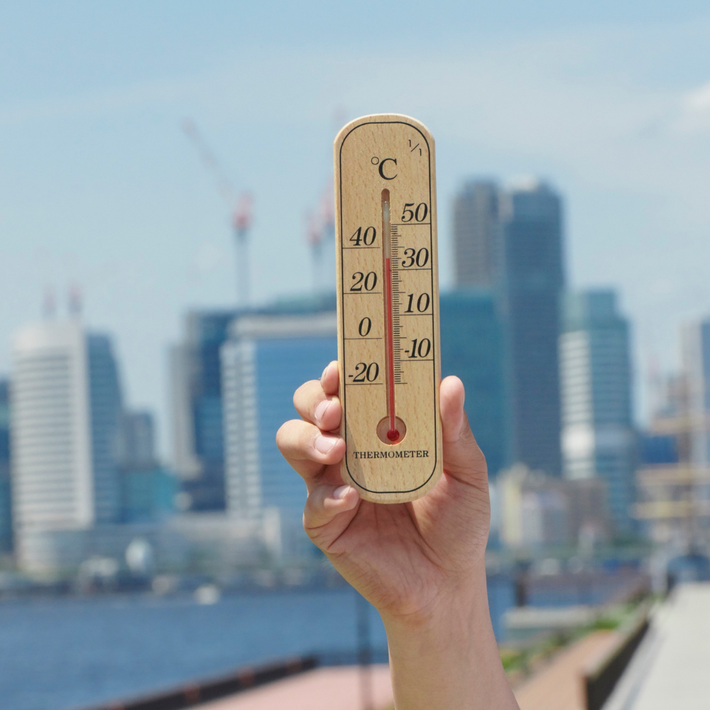 nhiệt độ ở Gia Lai dịp Tết Nguyên Đán 2026