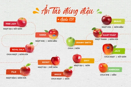 Táo nhập khẩu là gì? Táo nhập khẩu có bao nhiêu loại