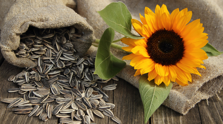 Điều gì xảy ra khi ăn hạt hướng dương