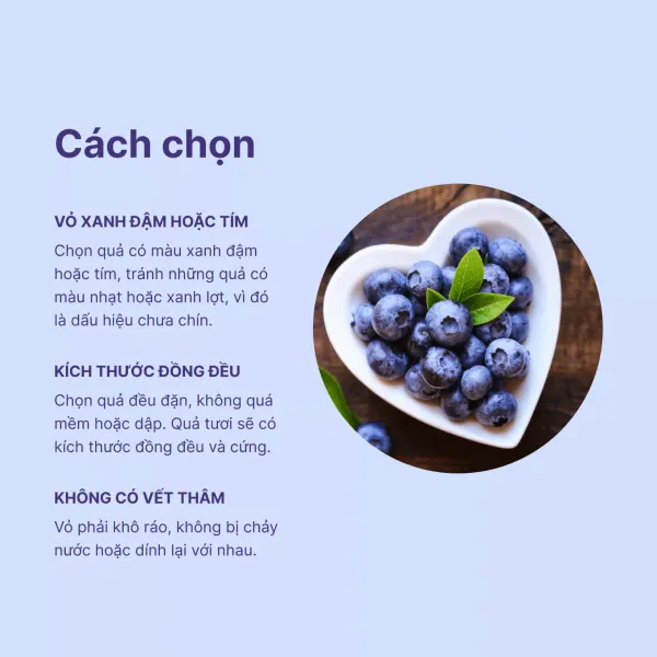 Blueberry Mỹ hộp 125g