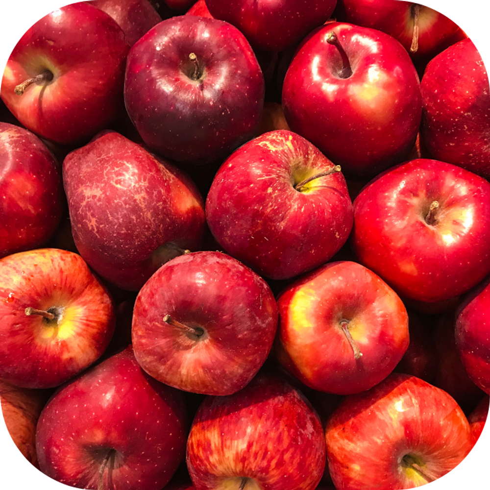 Táo Red Delicious