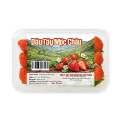 Dâu tây Mộc Châu hộp 500g (1 Hộp)