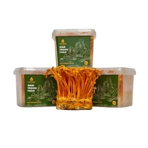 Nấm trùng thảo tươi AT Group 55g