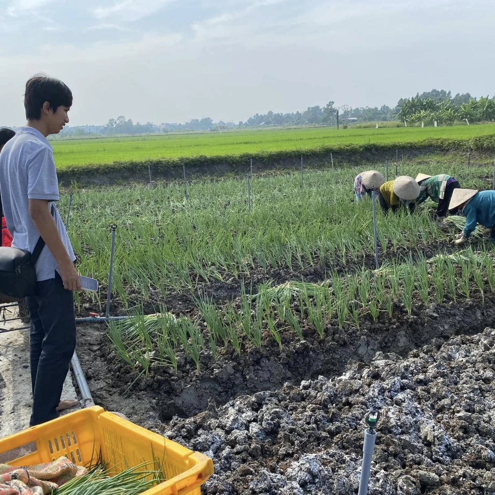 Quy trình sản xuất khép kín minh bạch và cam kết canh tác hữu cơ vì cộng đồng của Hợp tác xã.