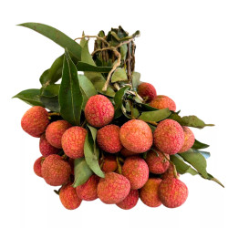 Vải thiều Lục Ngạn hàng AIR (1KG)