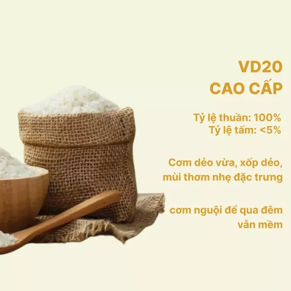 Gạo mầm đất sữa sen túi 5kg