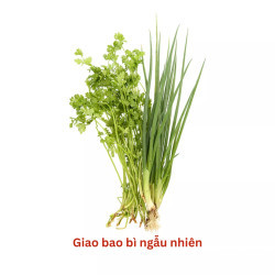 Rau nêm hỗn hợp VietGap gói 80g (1 Gói)
